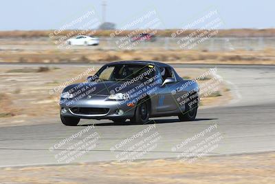 media/Nov-16-2024-CalClub SCCA (Sat) [[641f3b2761]]/Group 1/Star Mazda (Qual)/